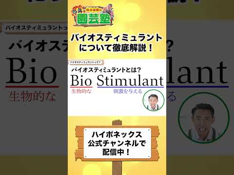 ヴィーゼン・ピッパウ 植物