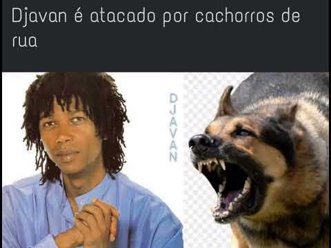djavan é atacado por cachorro de rua