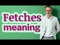 Fetches | Meaning of fetches 📖 📖 📖