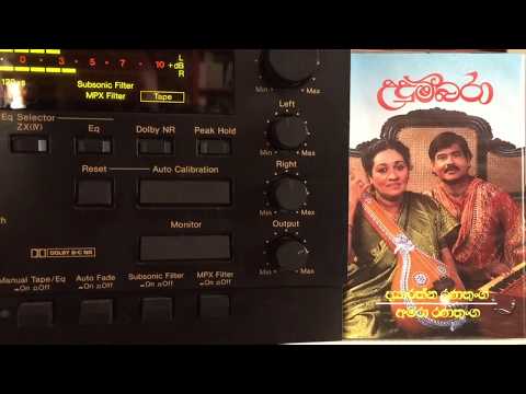 Amara Ranathunga: Radha Krishna