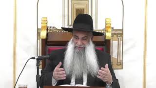 הרב שי פרי - פרשת ויקהל - גם אתה יכול להצליח בגדול