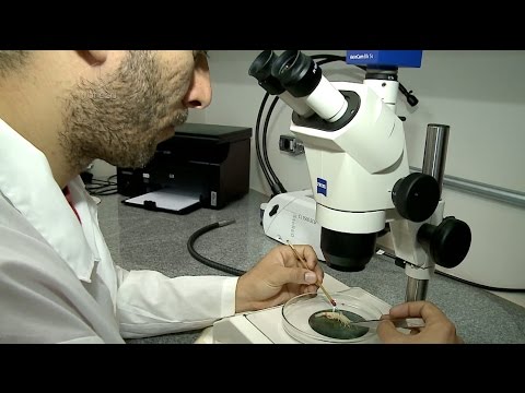 Guia de Profissões | Ciências Biológicas