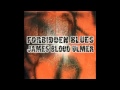 James Blood Ulmer - What Is