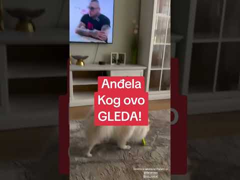 Elita 9: Anđela koga ovo gleda! zadruga uzivo