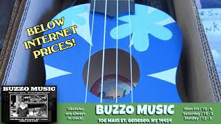DISC 15 - "Buzzo Music", Geneseo, NY