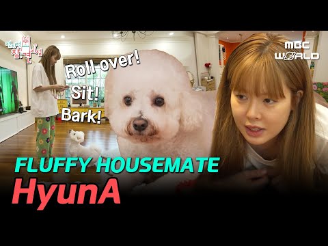 [SUB] HyunA and the master of tricks, genius dog Sogeum's peaceful day #HYUNA