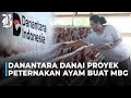 Banjir Kritikan Soal Biayai Peternakan Ayam Rp20 Triliun Danantara Buka Suara