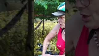 Explore Mekong Delta By Bike - Vietnam By Bike®