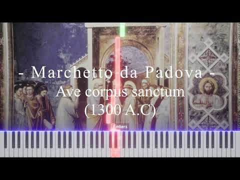 Marchetto da Padova - Ave corpus sanctum