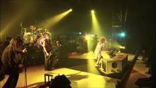 The GazettE - Hyena live [RCE]