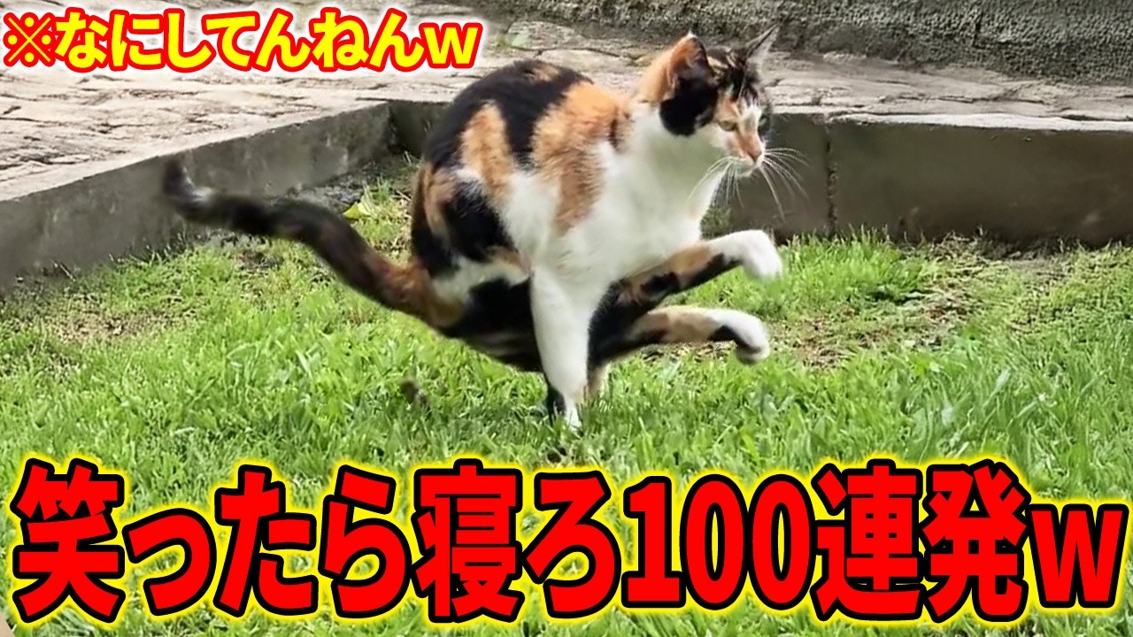 【一番かっこよくう〇ちした奴が優勝なｗ→結果...】笑ったら寝ろ100連発！ｗ