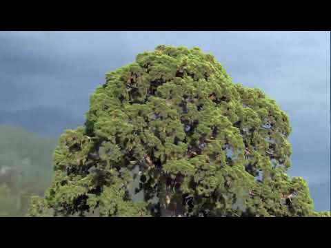 Everyday Fresh by Fisayo Check