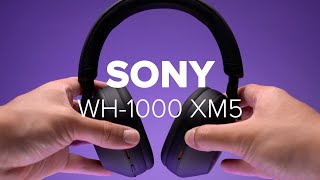 Sony WH-1000XM5 im Test: Der beste Sony-Kopfhörer?