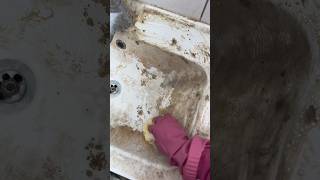 Download lagu COMO LIMPIAR UN FREGADERO 👍🏻 #limpiezahogar #limpiezaprofunda #deepcleaning mp3 Download lagu COMO LIMPIAR UN FREGADERO 👍🏻 #limpiezahogar #limpiezaprofunda #deepcleaning mp3