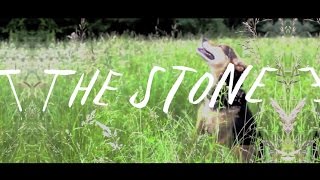 The Stone Music Video