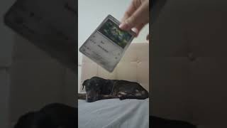 #pokemon #pokemoncards #pokemontcg #pokemonchannel #cards #tcgpokemon #tcg