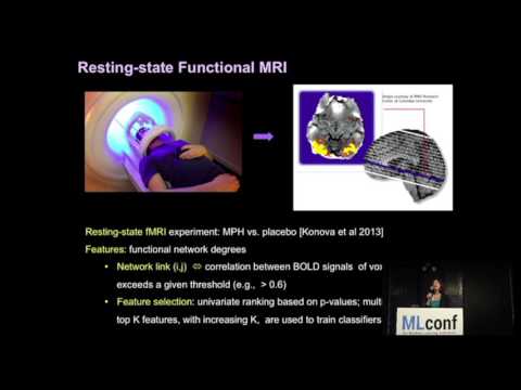 Irina Rish, Researcher, IBM Watson, NYC 2017