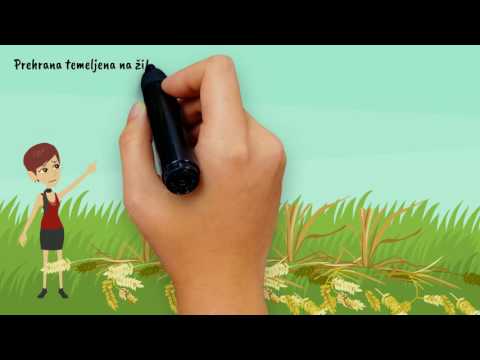 ISTINE I LAŽI O HRANI | ZDRAVKA ZA ZDRAVLJE 13 | SPECIJALNA EPIZODA 2