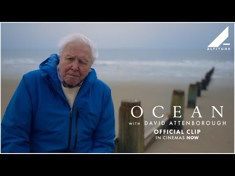 Thumbnail of the video: 'Nearly 100 Years' Official Clip