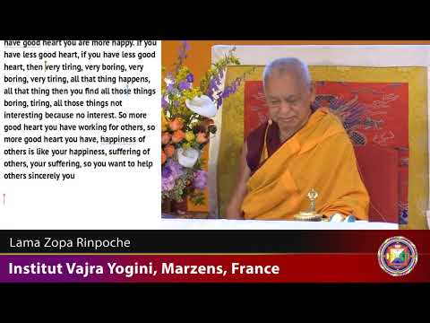 20190612 2030 LZR IVY FRANCE - How to take care of beings and how to use problems on the path