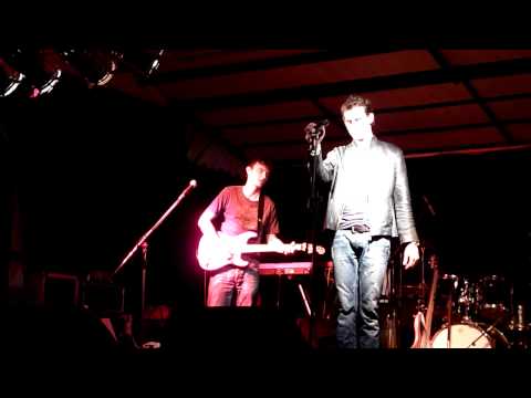 Rainhard Fendrich - "Weusd a Herz host wia a Bergwerk" (by Michael Wolfschmidt )