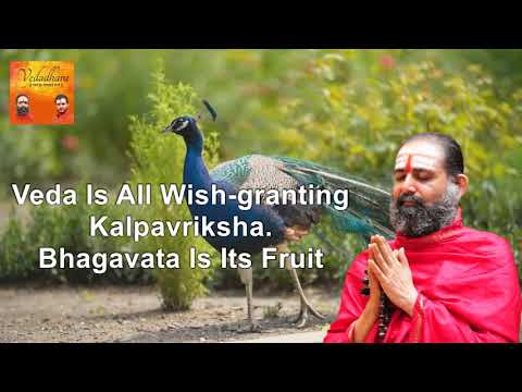 Veda Is All Wish-granting Kalpavriksha । Bhagavata Is Its Fruit । Vedadhara