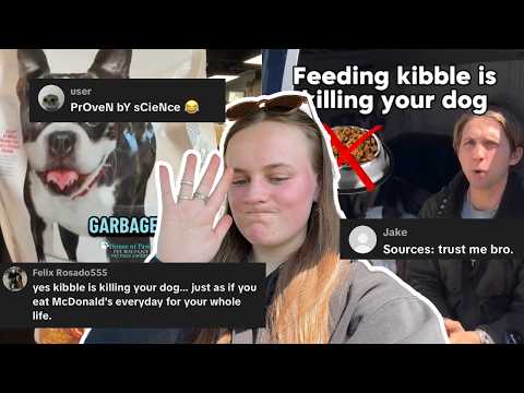 What Is Kibble Fatigue