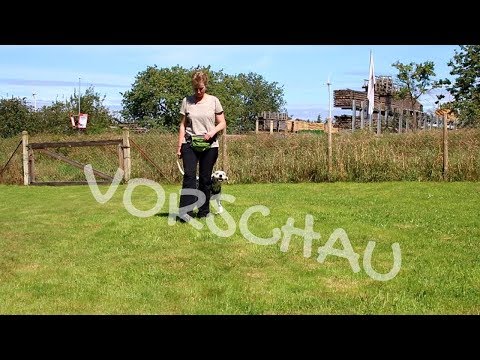 Das Wechsel Signal   hilfreich beim Spaziergang (Vorschau)