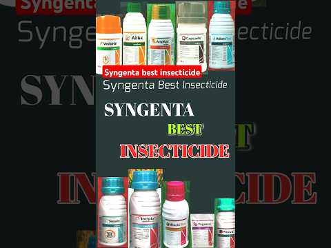Syngenta Best Insecticide || #syngentabestinsecticide #syngentaindia #syngenta #insecticide