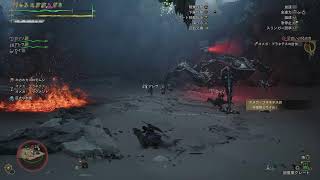 救難信号を用いてリベンジオメガ戦