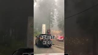 Download lagu Forest kopi #holiday #wisataalam #wisataindonesia #wisatakuliner mp3