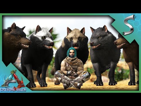THE BEST PLACE TO TAME DIREWOLVES! - Ark: Crystal Isles [DLC E11]