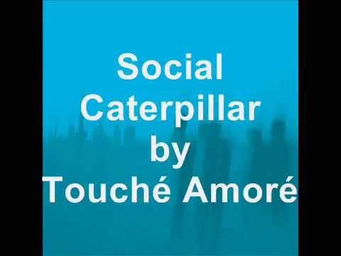 Video thumbnail for Social Caterpillar