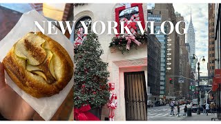 ニューヨークVlog | クリスマスな街中🎄🎁💓サンクスギビングディナー、ベーカリー、Amazonオフィスでプレゼン｜海外生活