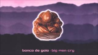 Banco de Gaia - Drippy