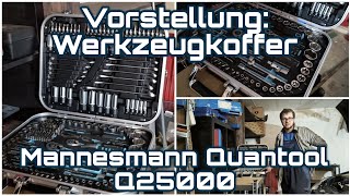 Vorstellung Werkzeugkoffer: Mannesmann Quantool Q25000