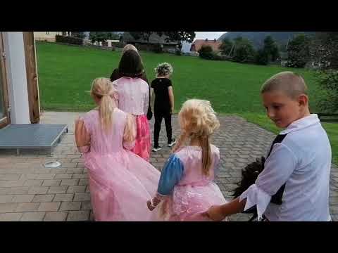 Die goldene Gans fertig