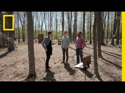 Get That Honey | Going Deep With David Rees