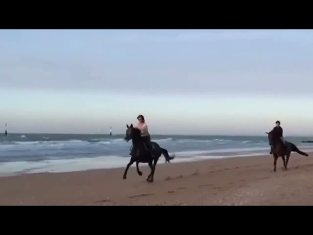 Jument 4 ans SF 2021 Candy de Nantuel x Quick Star