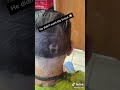 Telling People Im A Barber When Im Not