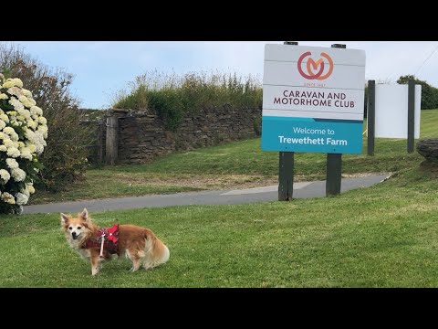 Arriving at Trewethett Farm Caravan and Motorhome Club Site 