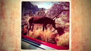 Kim Herold - Before I Marry You