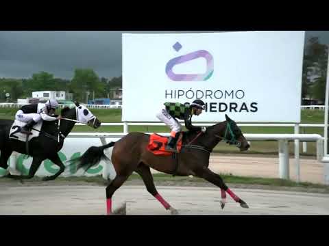 221022 c04 - PRETTY BABY - HIPODROMO LAS PIEDRAS