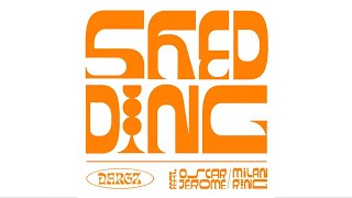 Songtext von DARGZ, Oscar Jerome & Milan Ring - Shedding ... Text Musik-video-Miniaturansicht