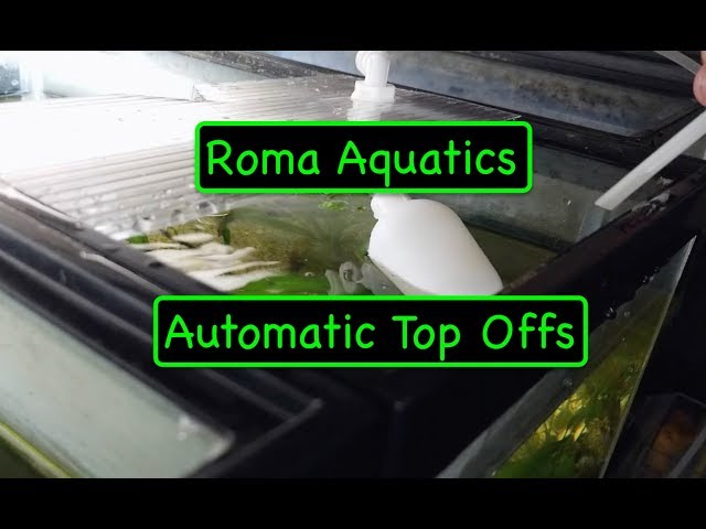 Automatic Aquarium Water Top Off - How To - Start of Maintenance Free Room - Float Valves and RODI