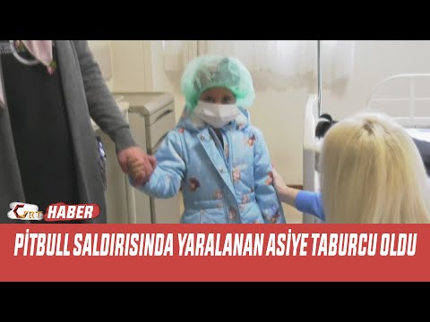 PİTBULL SALDIRISINDA YARALANAN ASİYE TABURCU OLDU