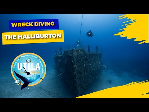EXPLORING THE HALLIBURTON WRECK | PADI WRECK DIVING | UTILA DIVE CENTER