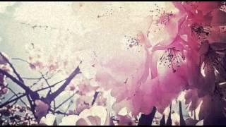 Mona & Maria-Babyflowers