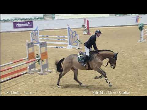 No Limit   *    Nairobi de Muze x Qualito     * 2021