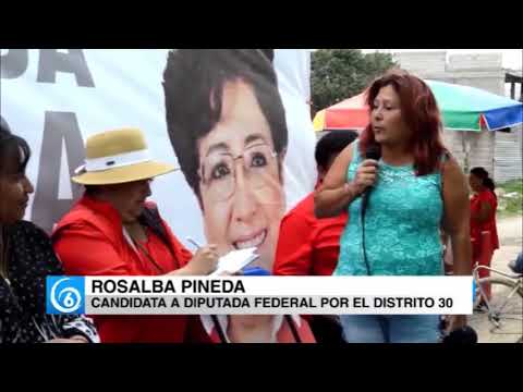 Rosalba Pineda, candidata a diputada federal por el Distrito 30, nos habla más de sus propuestas